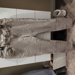 Torrid Beige/Faded Brown/Fawn Jeggings Size 10R